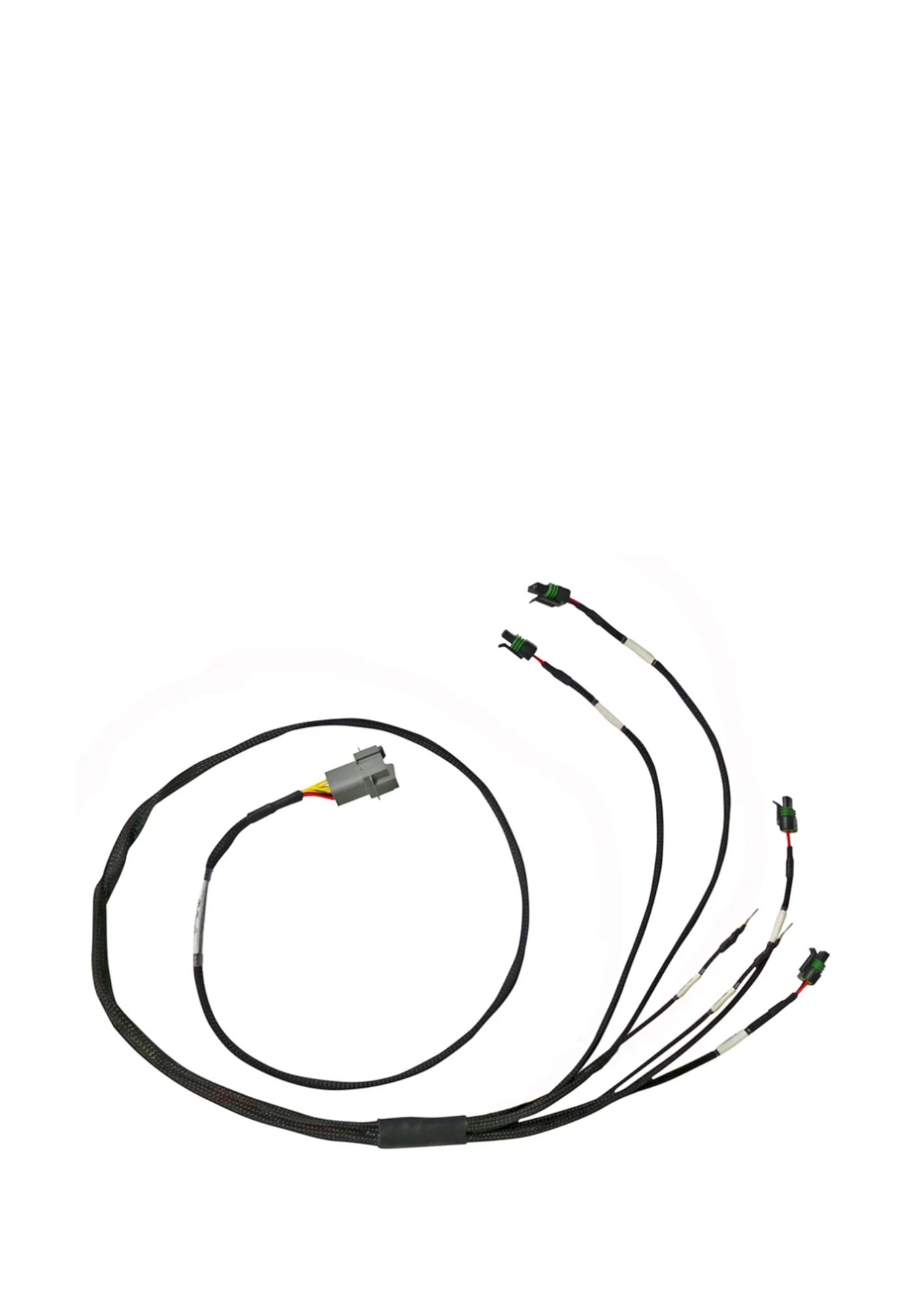 Elite ECU Terminated Engine Harnesses