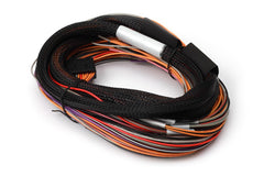 IO 12 Expander Flying Lead Harness Length: 2.5m (8')-1