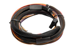 IO 12 Expander - 12 Channel with Flying Lead Harness Kit (CAN ID - Box A) Length: 2.5m (8')-2