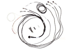 Semi Terminated Stand-Alone Harness For iC-7 Display Dash-1