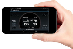 Multi-Function CAN Gauge-2