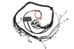 Elite 2000/2500 Toyota 2JZ Terminated Engine Harness-1