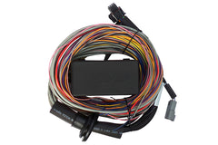 Elite 750 Premium Universal Wire-in Harness Length: 2.5m (8')-1