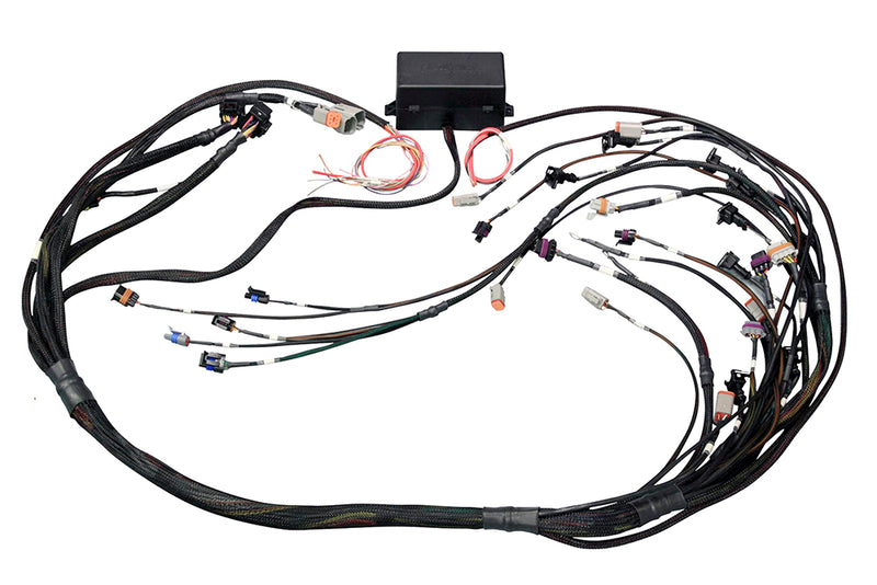 Elite 2000/2500 GM GEN III LS1 & LS6 non DBW Terminated Harness-1