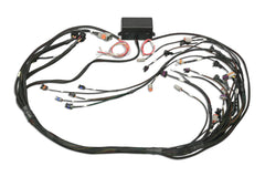 Elite 2000/2500 GM GEN III LS1 & LS6 non DBW Terminated Harness-4