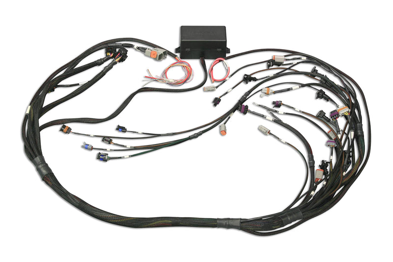 Elite 2000/2500 GM GEN III LS1 & LS6 non DBW Terminated Harness-4