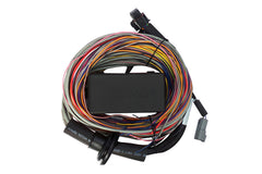 Elite 750 + Premium Universal Wire-in Harness Kit Length: 2.5m (8')-5