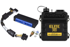 Elite 750 + Nissan Patrol Y60 (TB42) Plug 'n' Play Adaptor Harness Kit-1