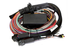 Elite 2500 + Premium Universal Wire-in Harness Kit LENGTH: 5.0m (16')-2
