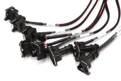 Elite 2500 + GM GEN III LS1 & LS6 non DBW Terminated Harness Kit Injector Connector: Bosch EV1 (as per factory)-4