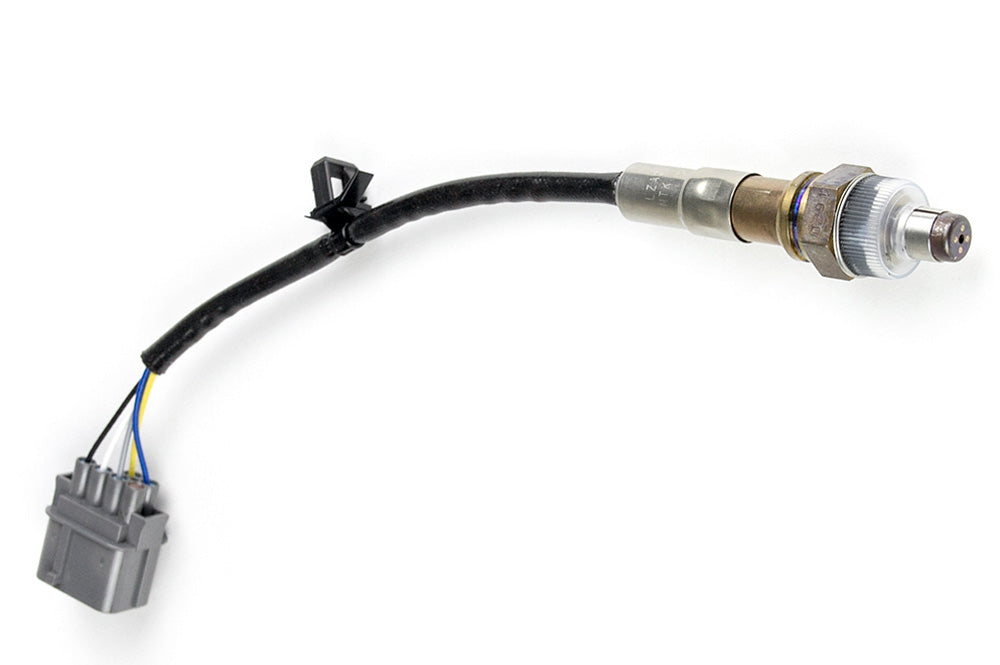 WB1 NTK - Single Channel CAN O2 Wideband Controller Kit Length: 1.2M (4ft)-3