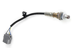 WB1 NTK - Single Channel CAN O2 Wideband Controller Kit Length: 1.2M (4ft)-3