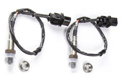WB2 Bosch - Dual Channel CAN O2 Wideband Controller Kit Length: 1.2M (4ft)-4