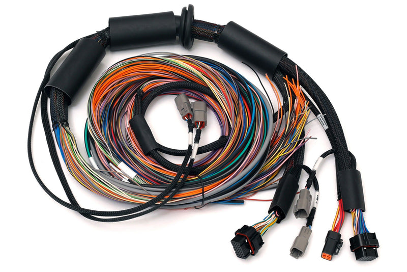 Nexus R3 Universal Wire-in Harness - 2.5m (8') Length: 2.5M-1