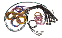 NEXUS R5 Basic Universal Wire-In Harness 5 Metre Length: 5M-1
