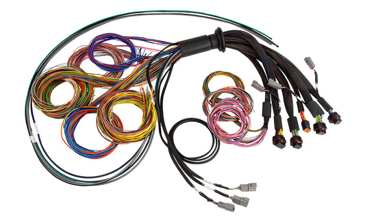 NEXUS R5 Basic Universal Wire-In Harness 5 Metre Length: 5M