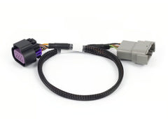 Nexus Rebel LS - 8-pin DBW adaptor-1