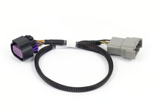 Nexus Rebel LS - 8-pin DBW adaptor