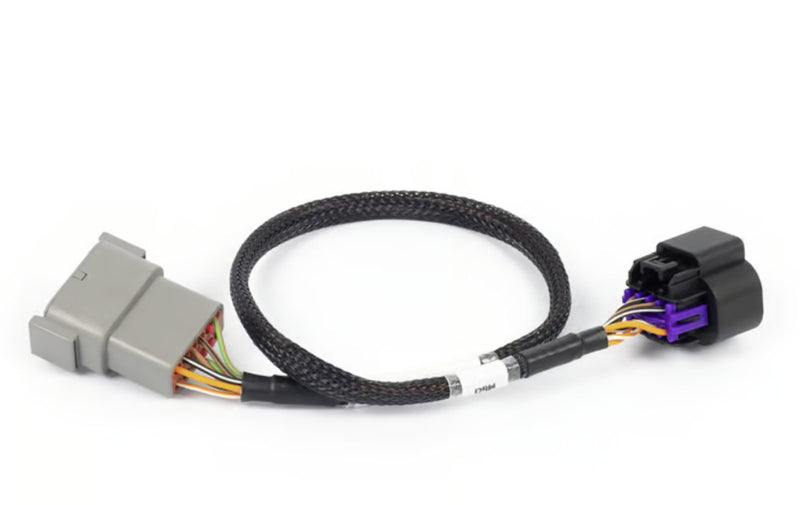Nexus Rebel LS - 8-pin DBW adaptor-2
