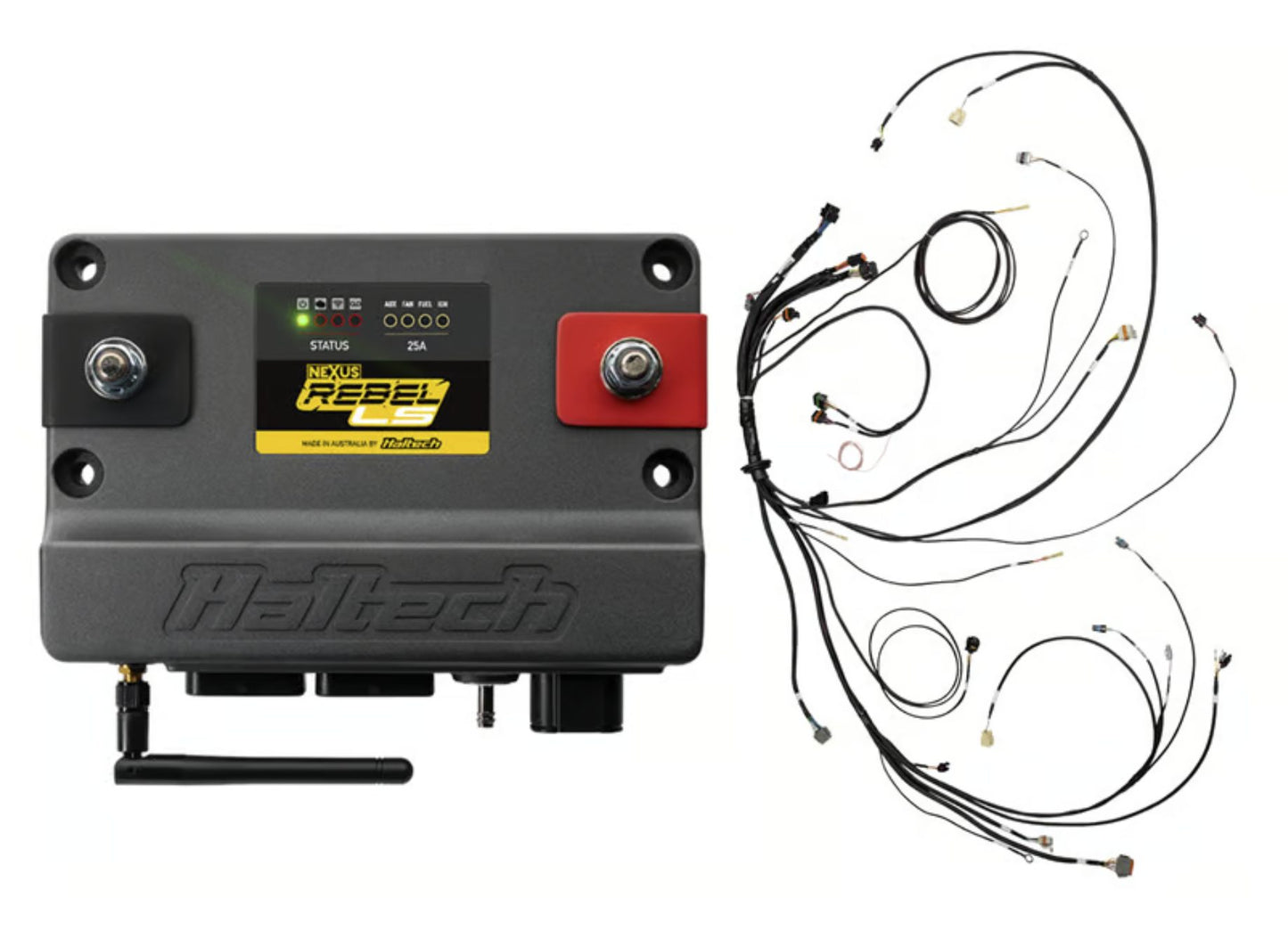 NEXUS Rebel LS - Suits Gen IV