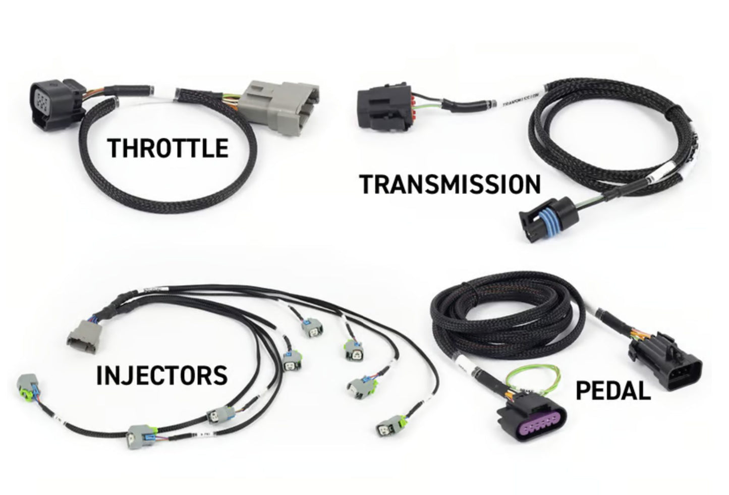 NEXUS Rebel LS - Suits Gen IV
