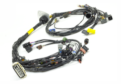EVO 8-9 Plug & Play "Tucked" Mil-Spec Engine Harness (LHD/RHD)-13