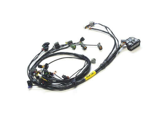 EVO X "Tucked" Mil-Spec harness (MT) ''ECU Master/Motec''